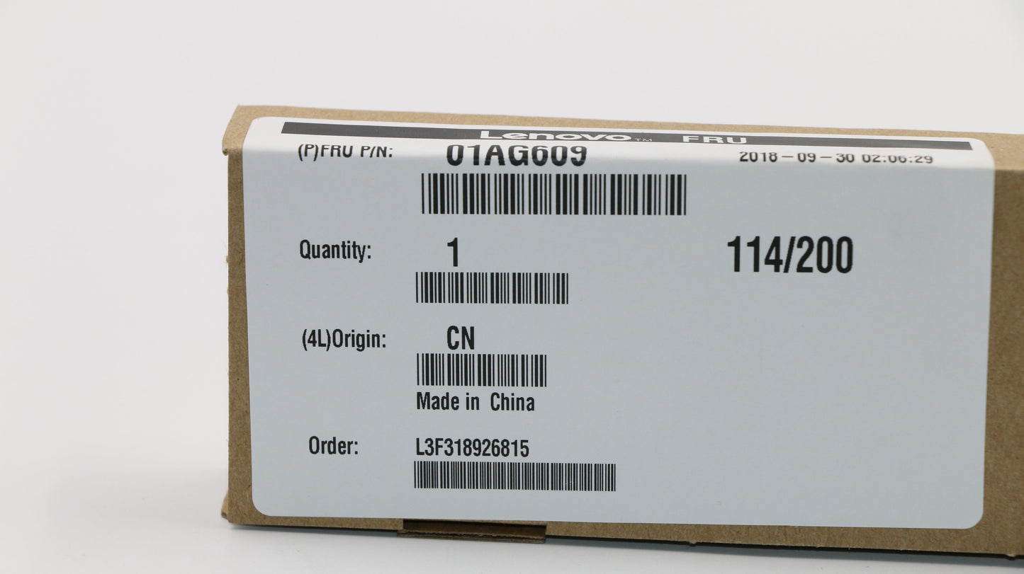 Lenovo Memory - 01AG609