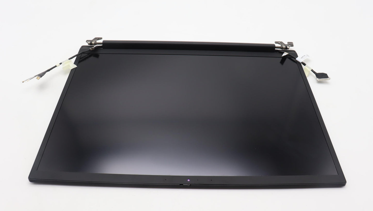 Lenovo 16" WQXGA LCD Module, Non-Touch, Anti-Glare, IPS, 400nit, 100% sRGB - 5M11D12281