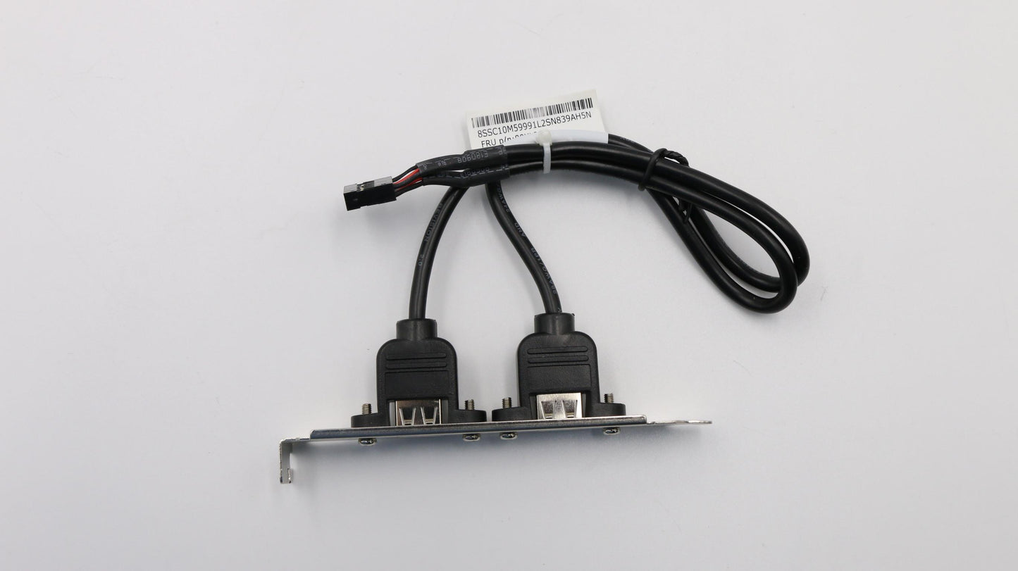 Lenovo Fru 300Mm Rear Usb2 Hp Cable - 00XL286