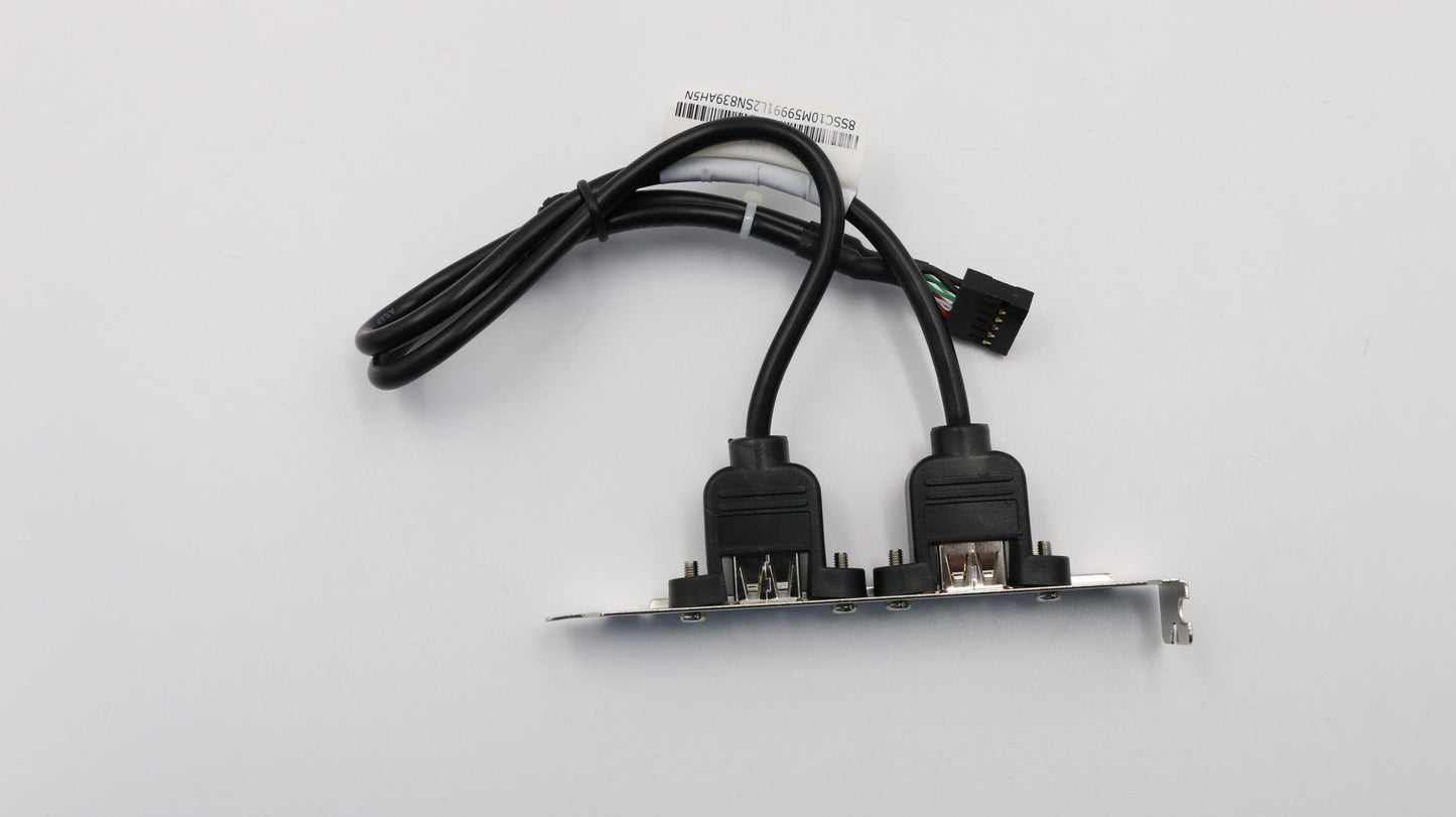 Lenovo Fru 300Mm Rear Usb2 Hp Cable - 00XL286