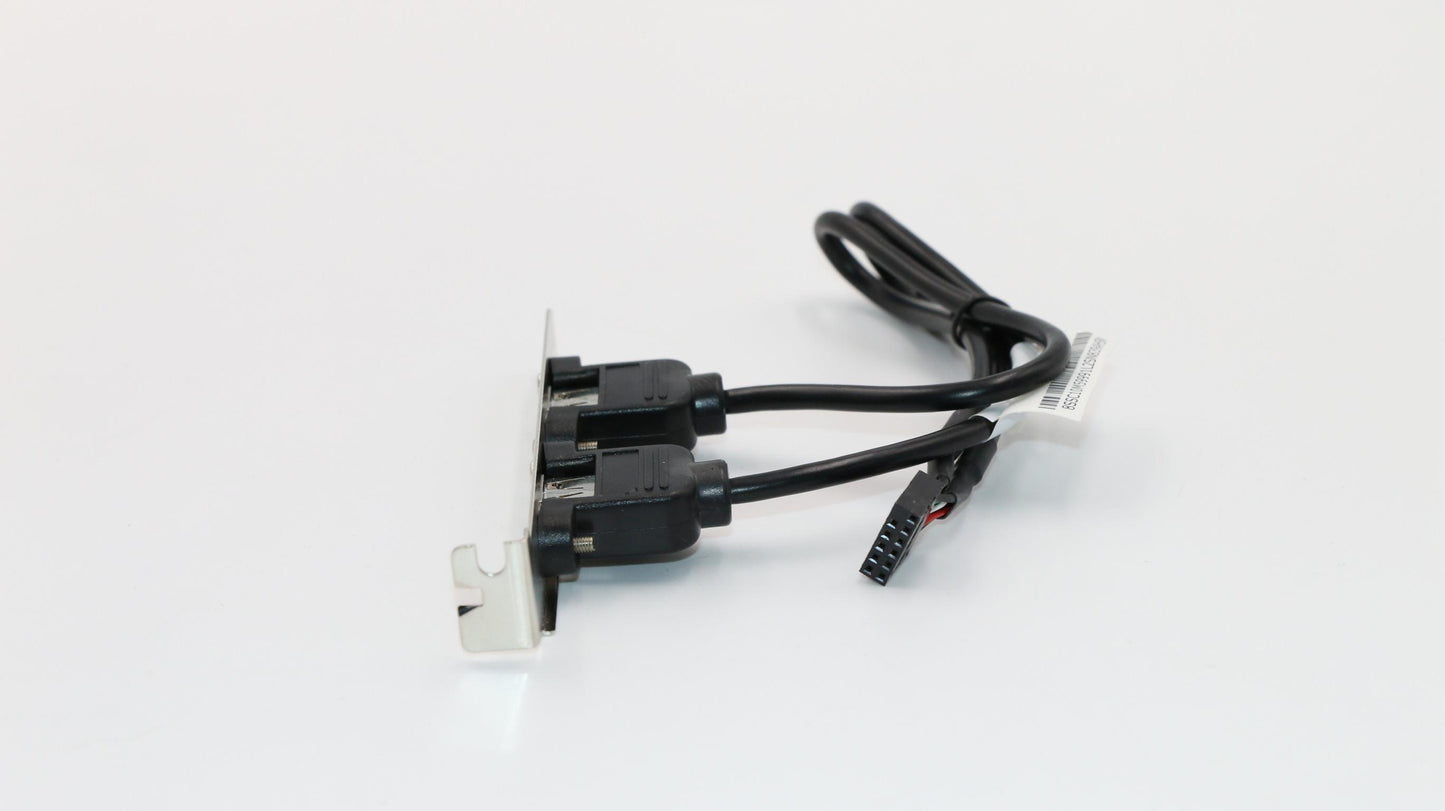 Lenovo Fru 300Mm Rear Usb2 Hp Cable - 00XL286