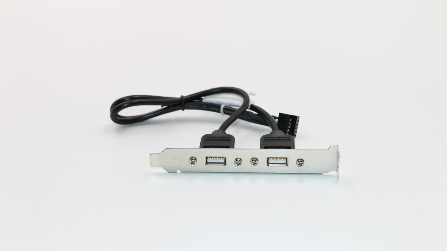 Lenovo Fru 300Mm Rear Usb2 Hp Cable - 00XL286