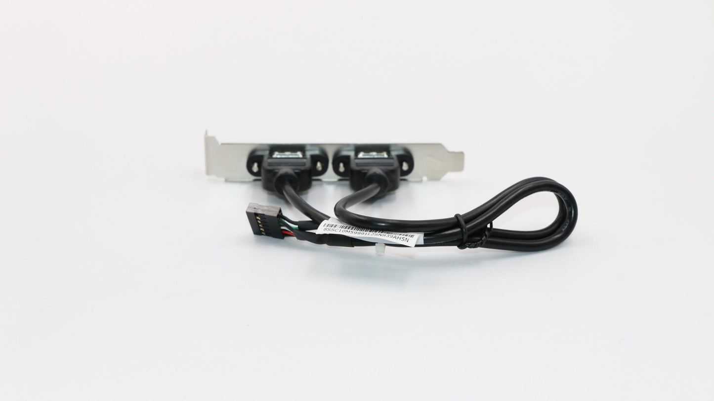 Lenovo Fru 300Mm Rear Usb2 Hp Cable - 00XL286