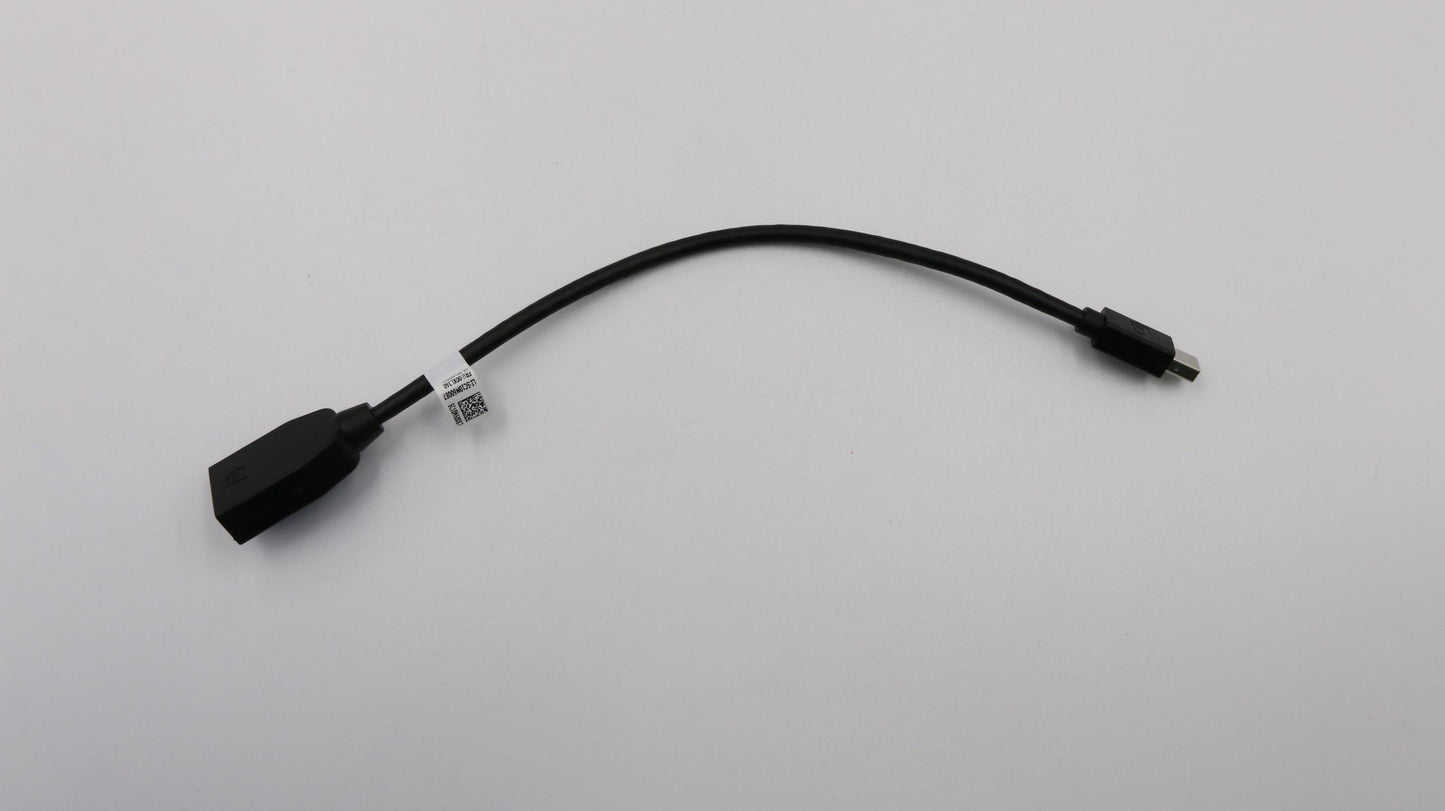 Lenovo Fru265Mm Mindp To Dp Cable - 00XL360