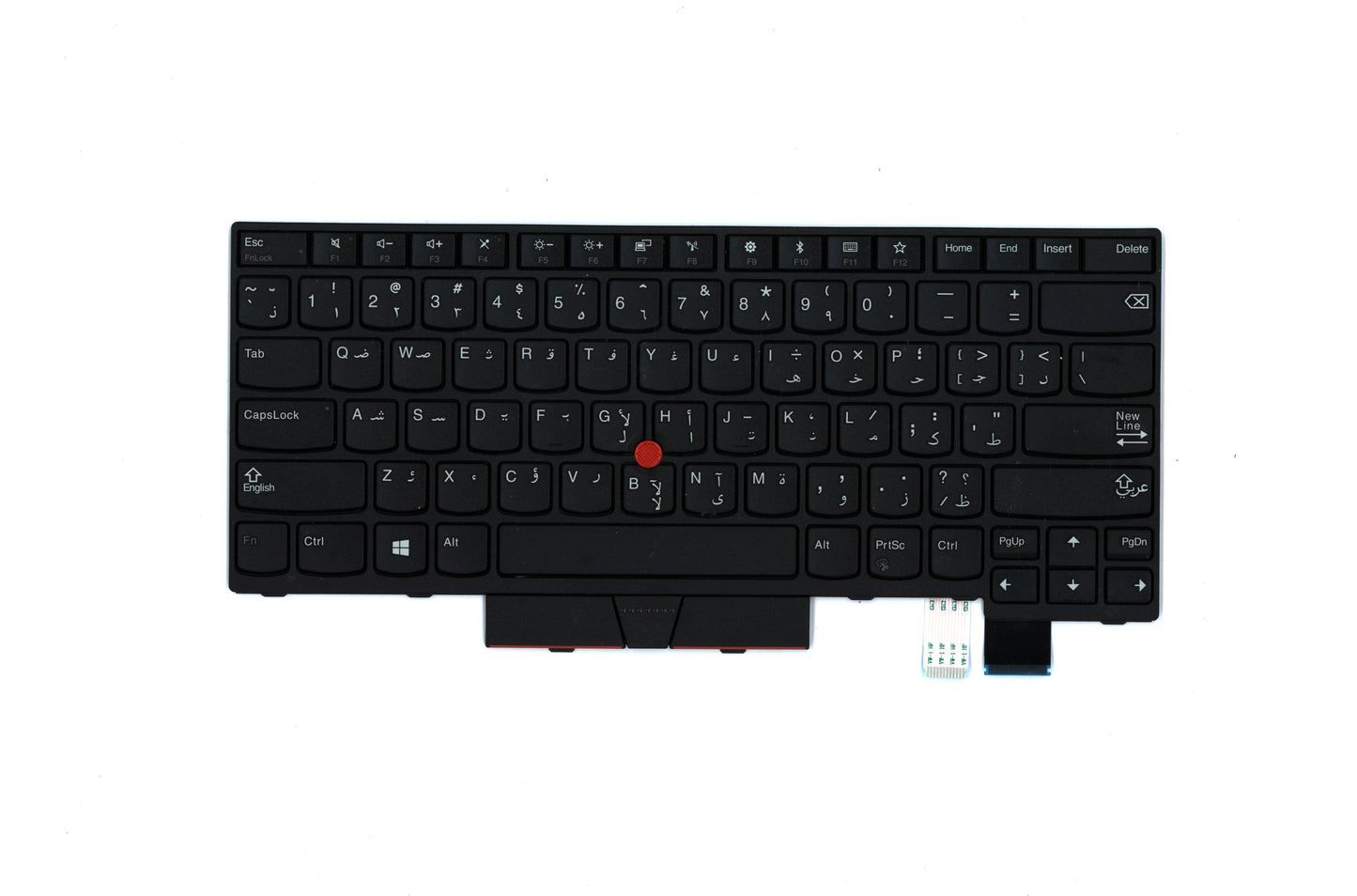 Lenovo Windu Keyboard, Ara, Dfn - 01AX410