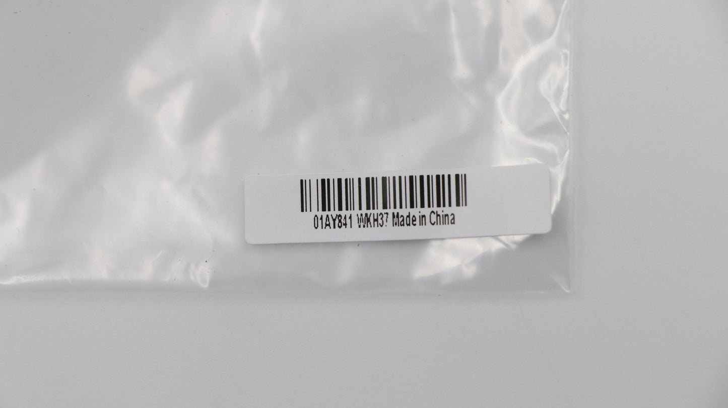 Lenovo Aizs1 Active Dummy Cap Silver - 01AY841
