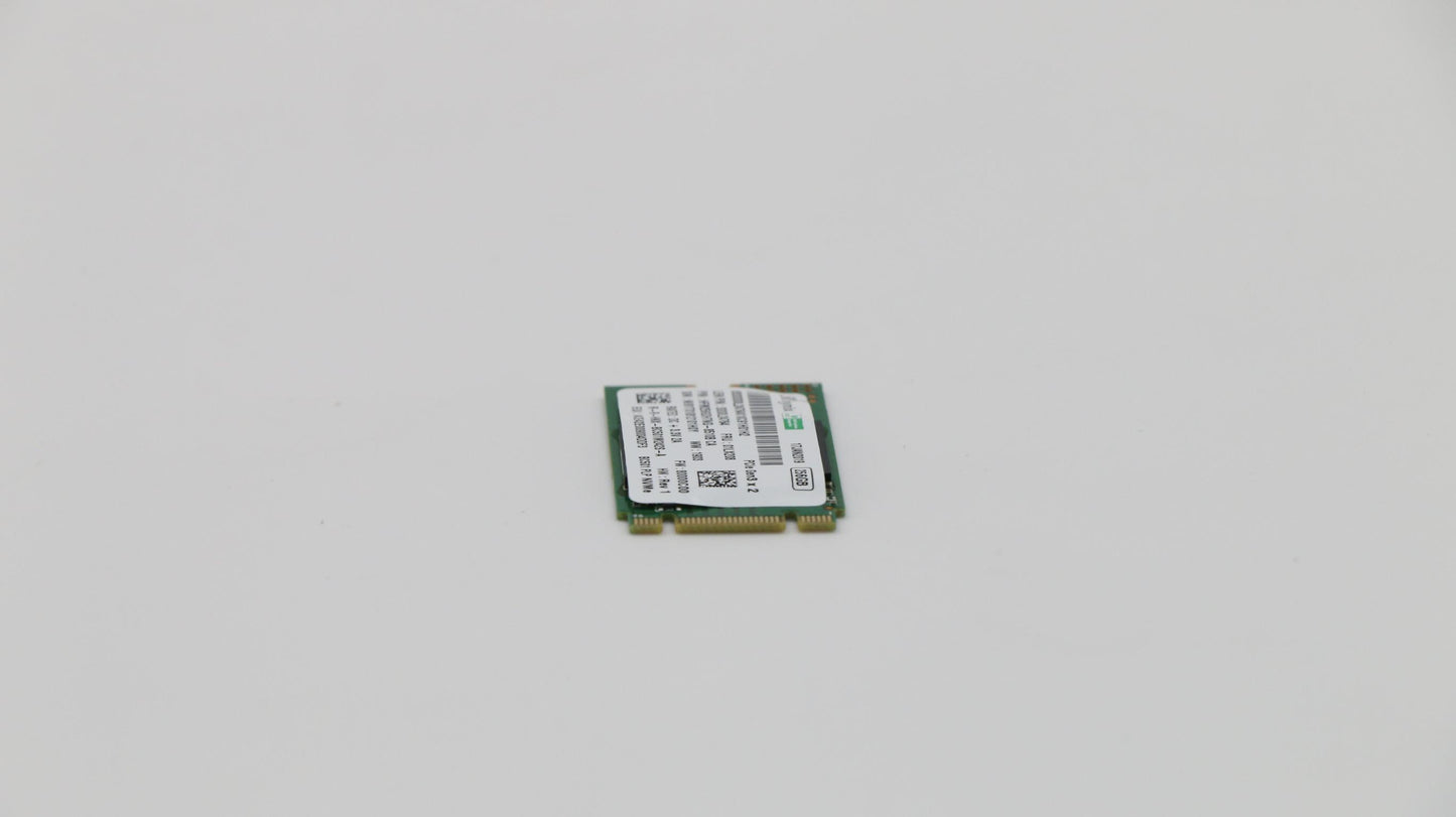 Lenovo 256G,M.2,2242,Pcie3X2,Skh - 01LX208