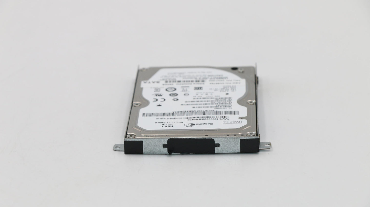 Lenovo Disk Tray-Lwgg Fru 5400Rpm 250 - 04W1252