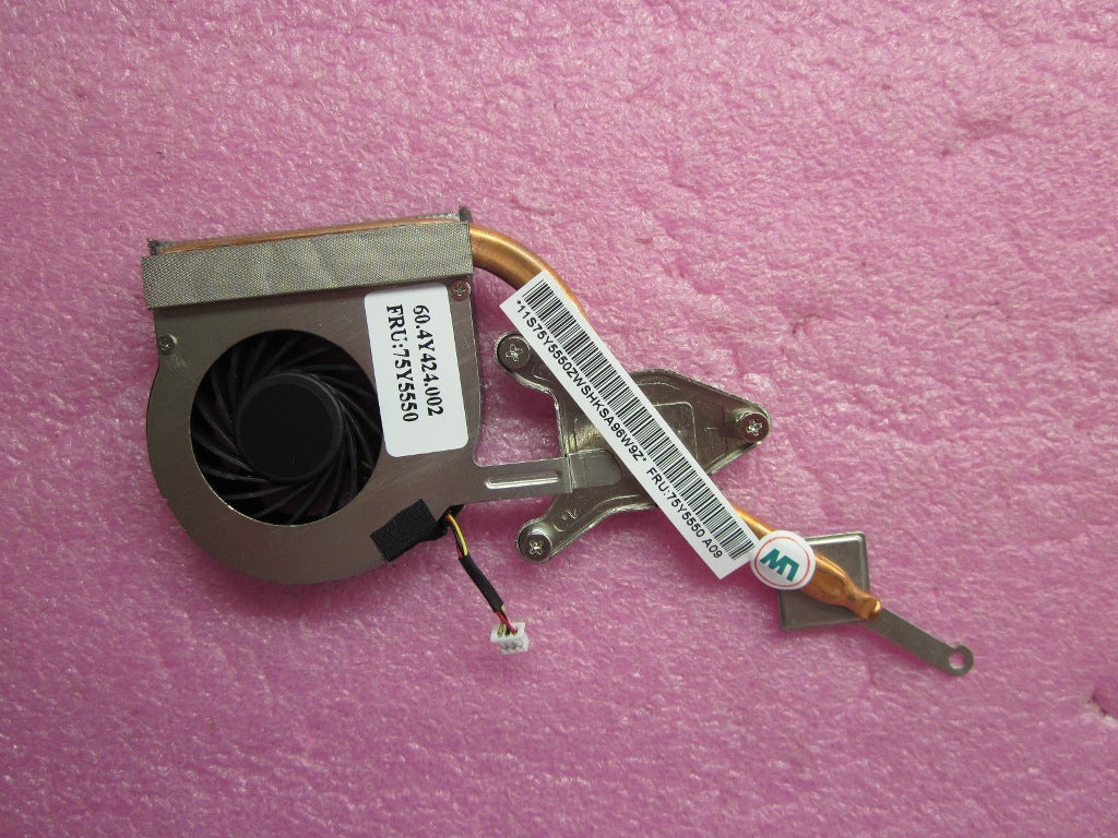 Lenovo Replacement Part - 75Y5550