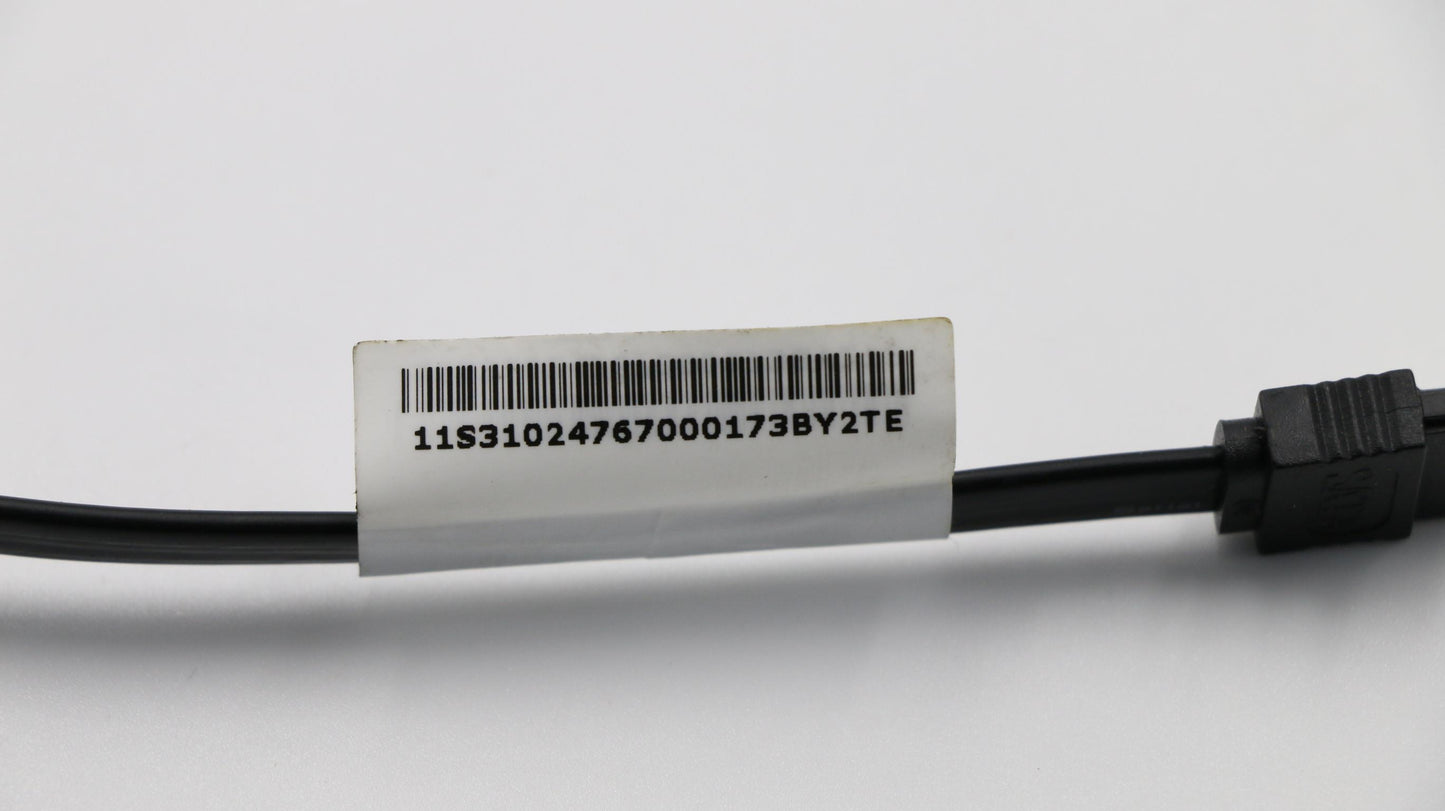 Lenovo 31024767 Ct Cables Internal