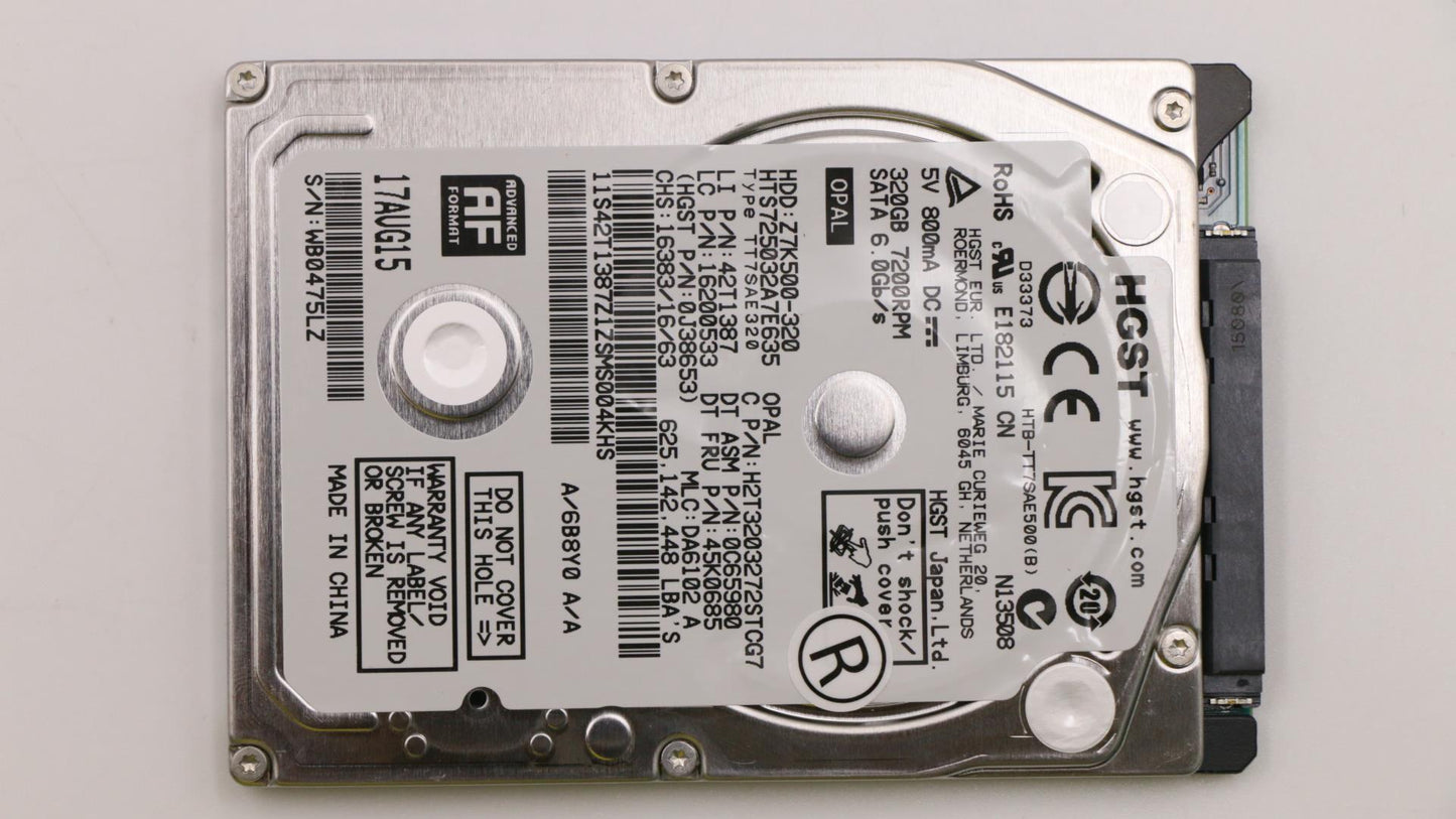 Lenovo 45K0685 Hard Drives