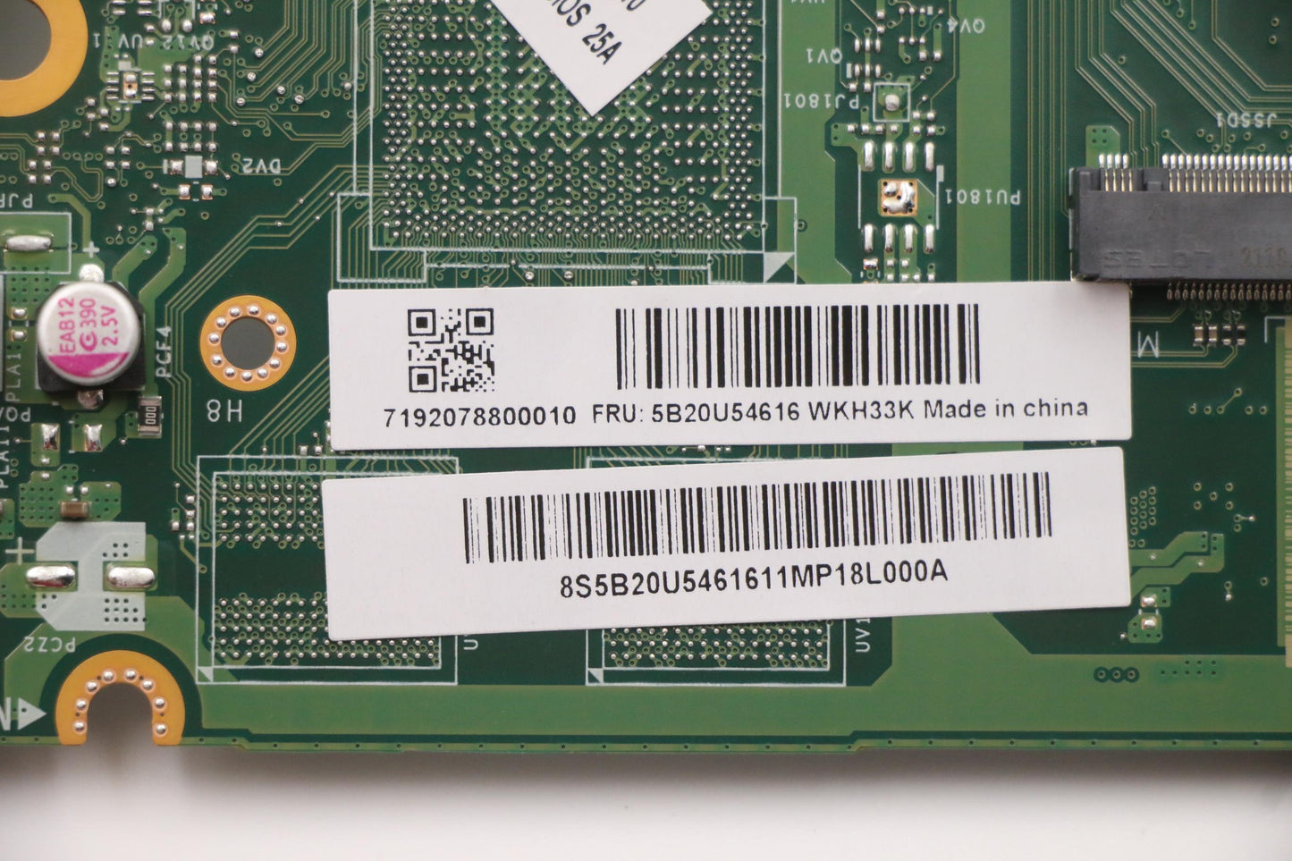 Lenovo Bdplanar Intel Cml B460 Tpm Um - 5B20U54616