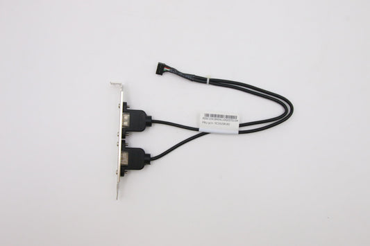 Lenovo Cable Fru 300Mm Rear Usb2 Hp C - 5C10U58185