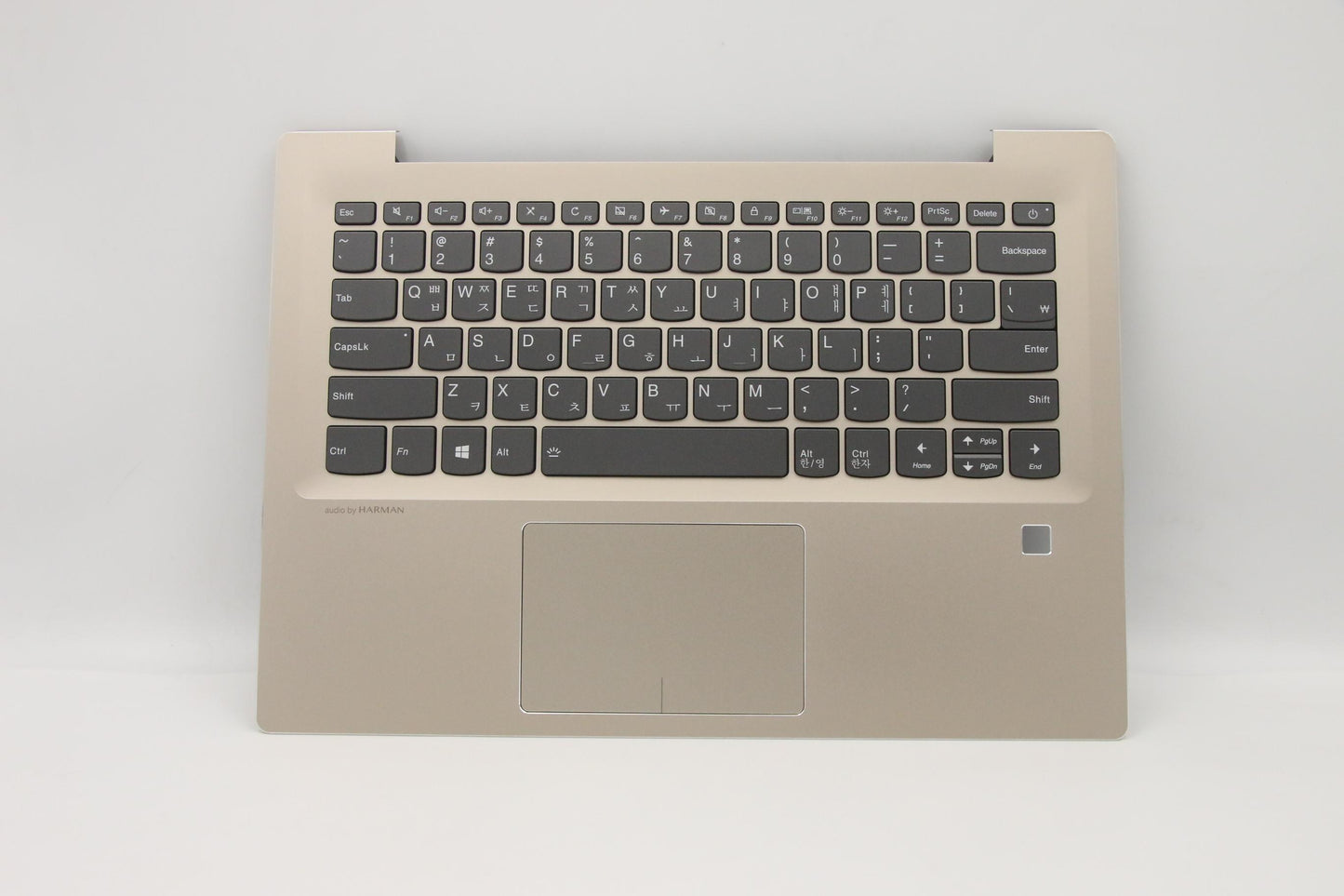 Lenovo Uppercasec80X2 Gd Fpbl W/Kb Ko - 5CB0N78538