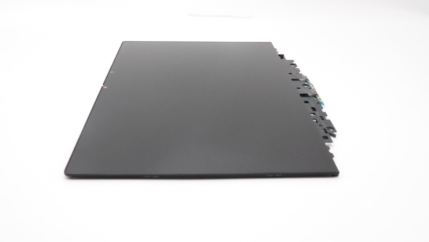 Lenovo Lcd Module - 5D10S39885