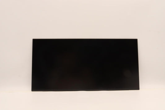 Lenovo Display Fru Cso Mnh300Hb11 173 - 5D11H00536