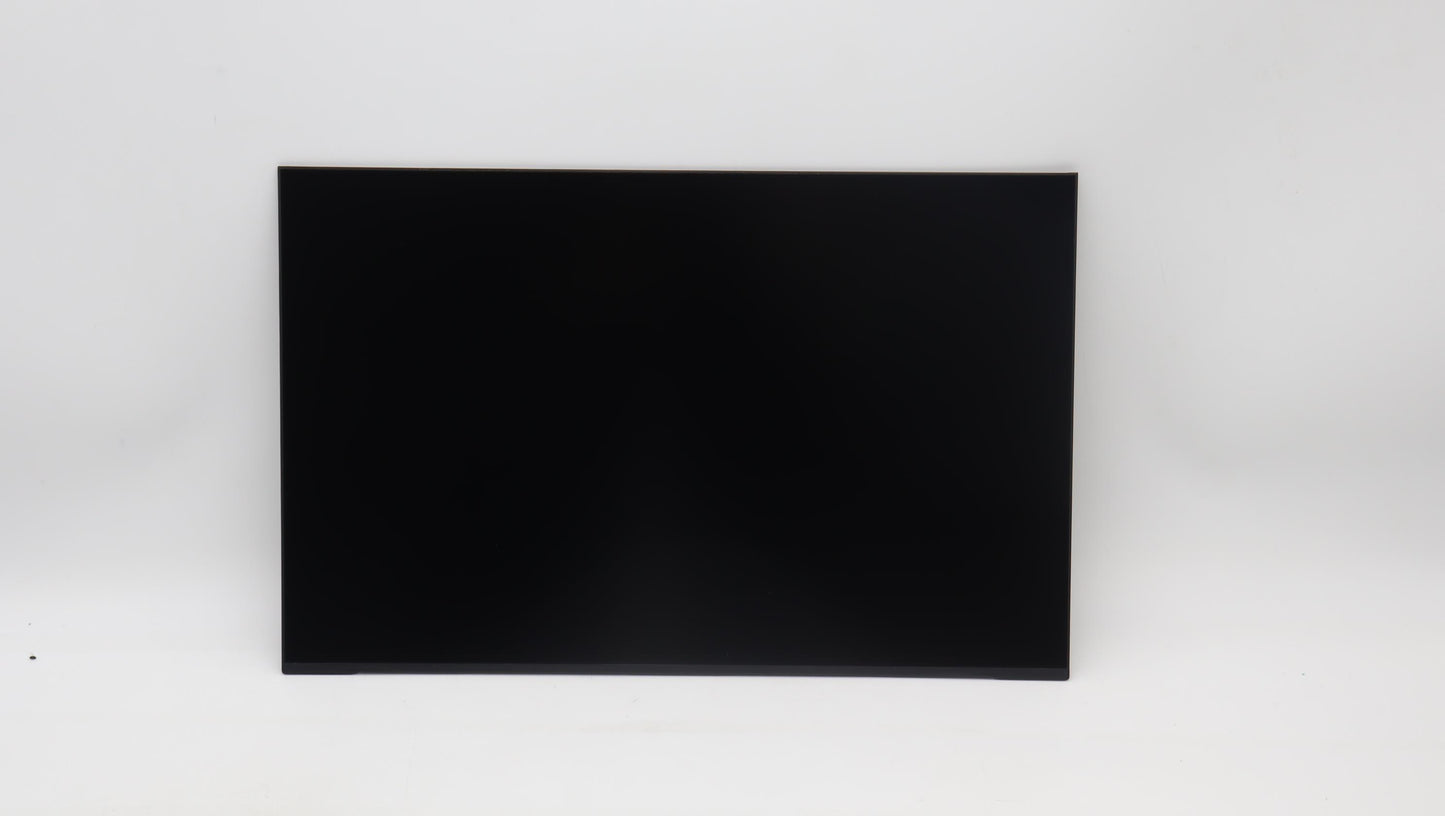 Lenovo Display Fru Auo B160Qan03.L 0A - 5D11J74765