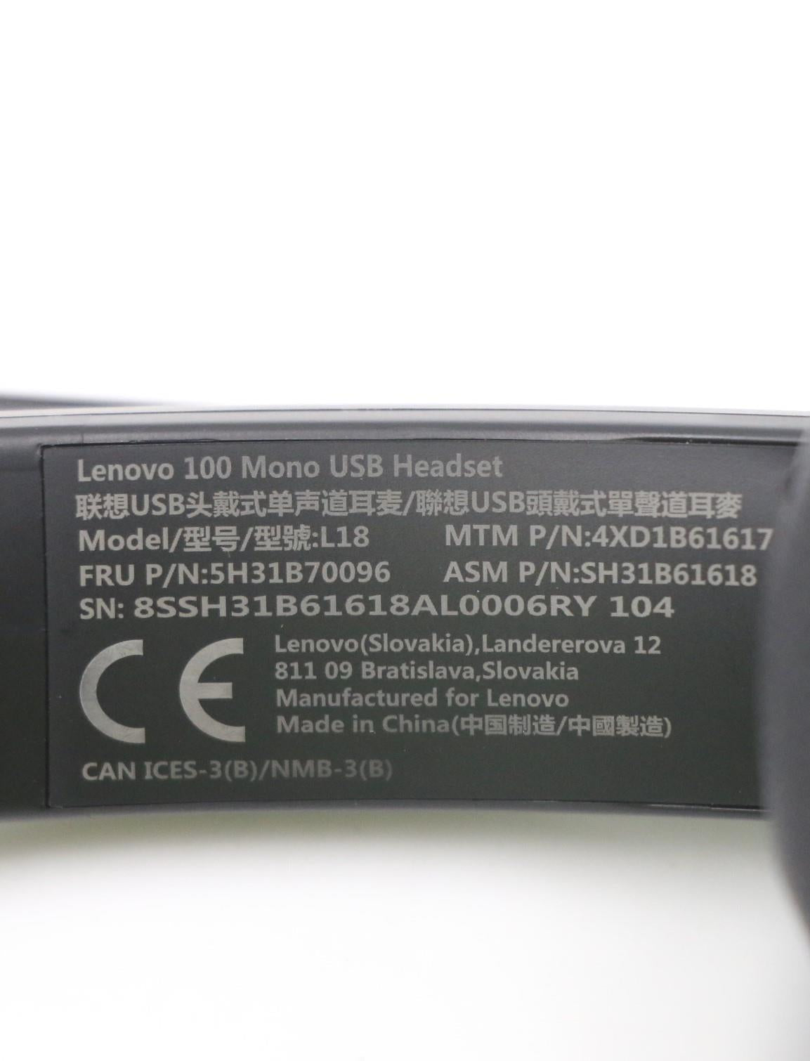 Lenovo Headset Fru_Lenovo 100 Mono Us - 5H31B70096