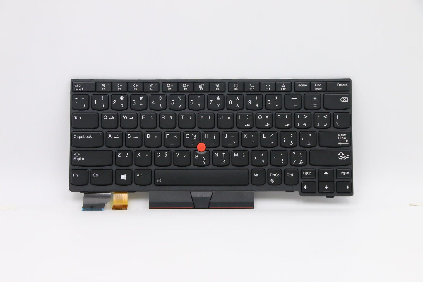 Lenovo Cmsk-Cs20,Bk-Bl,Chy,Ara - 5N20V43042