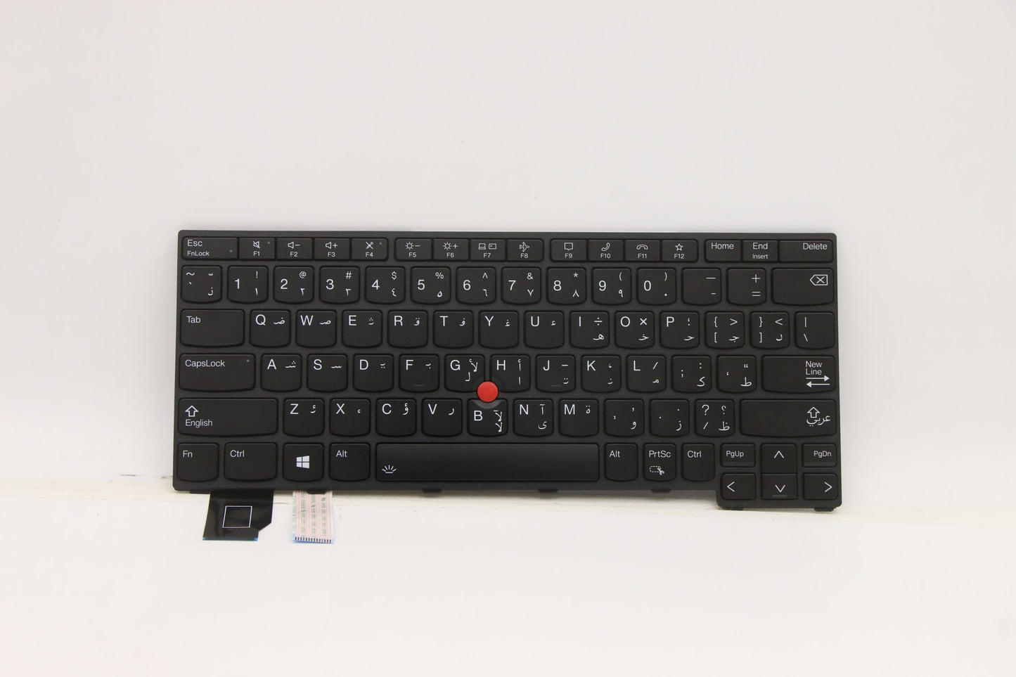 Lenovo Nb_Kyb Cs21Kbd Sktop Chy,Bl,Bk - 5N21A21739