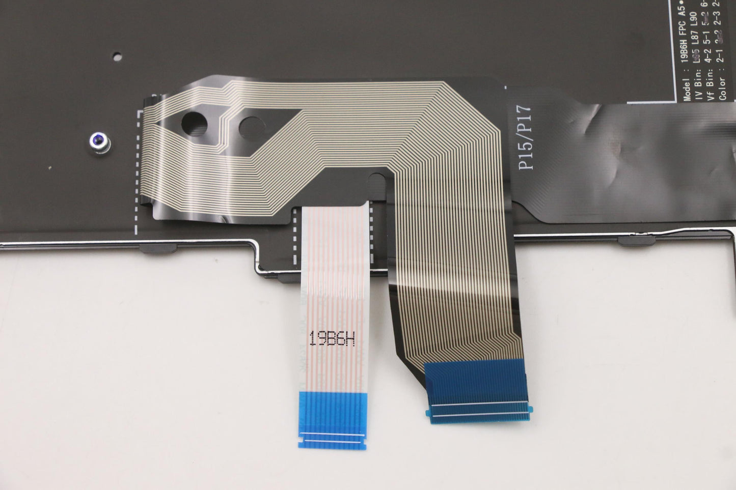 Lenovo Internal Keyboard, USA English, Black, Backlit, with Numeric Keypad - 5N21B44365