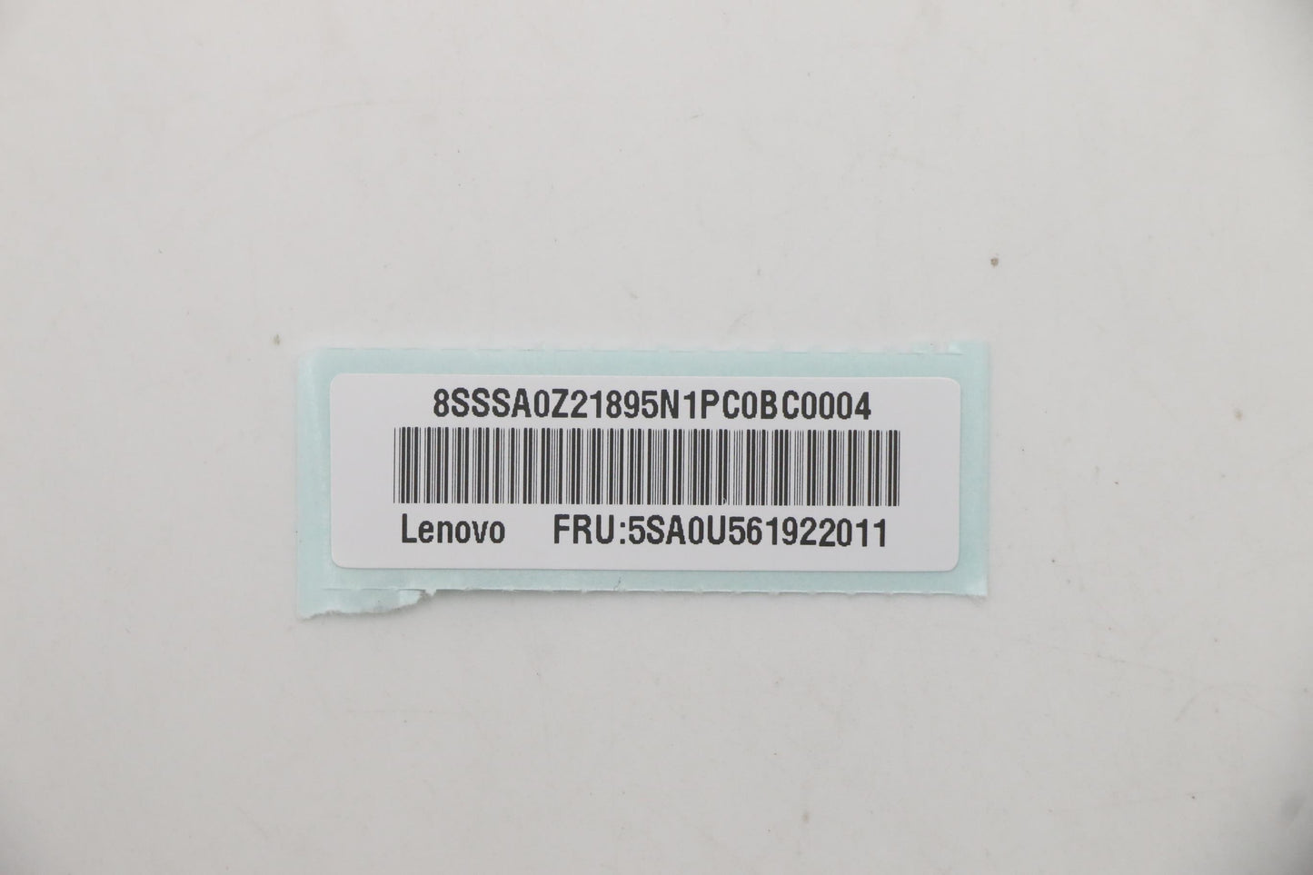 Lenovo Sp Xeon W-1270P 3.8G 8C - 5SA0U56192
