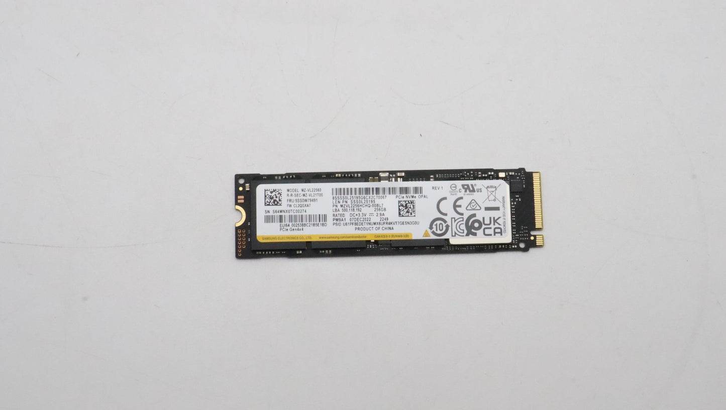 Lenovo Ssd_Asm 256G,M.2,2280,Pcie4X4, - 5SS0W79491