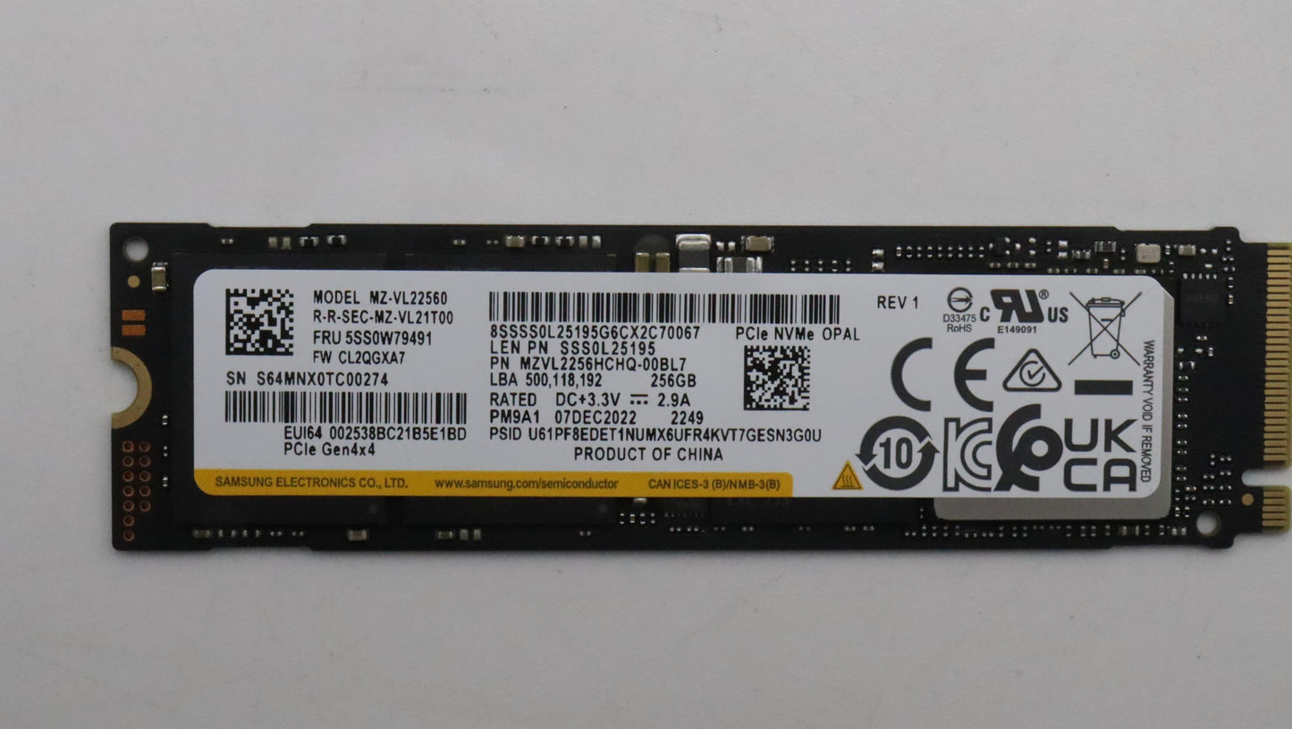 Lenovo Ssd_Asm 256G,M.2,2280,Pcie4X4, - 5SS0W79491