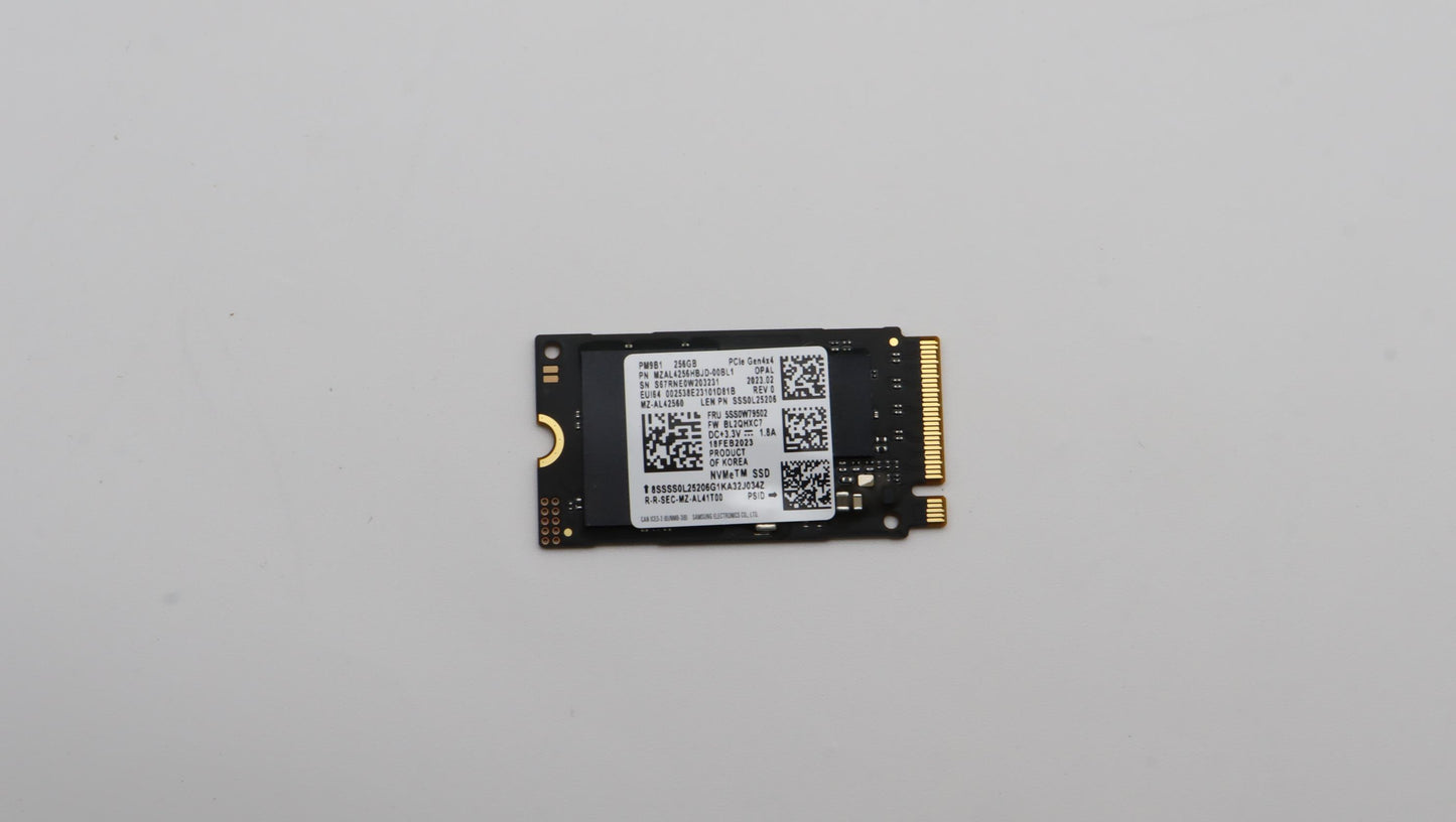 Lenovo Ssdasm 256G,M2,2242,Pcie4X4,Sa - 5SS0W79502