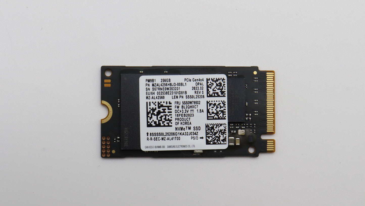 Lenovo Ssdasm 256G,M2,2242,Pcie4X4,Sa - 5SS0W79502