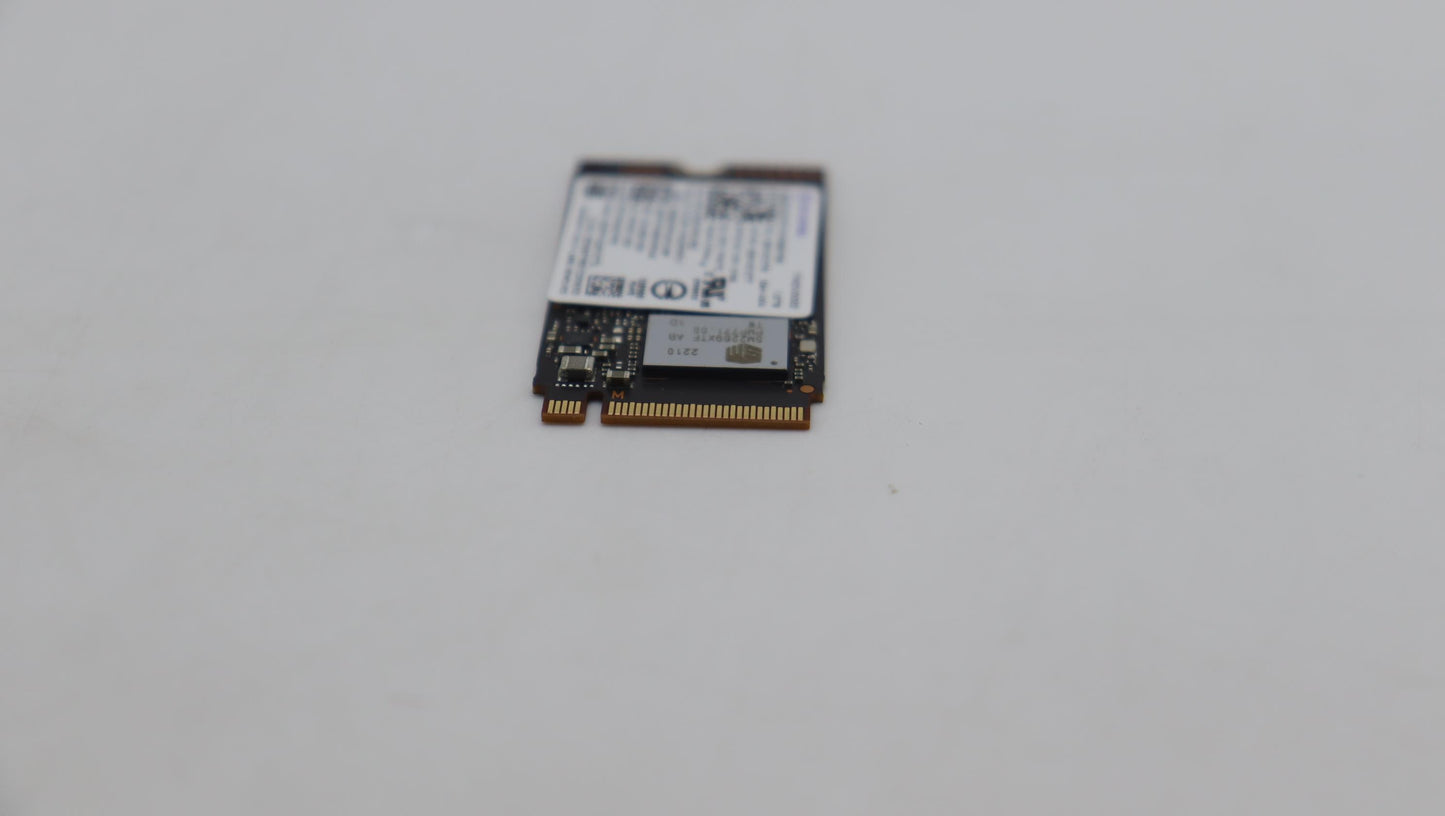 Lenovo Ssd Sol Echo Harbor 1T 2242 Pc - 5SS1K21276