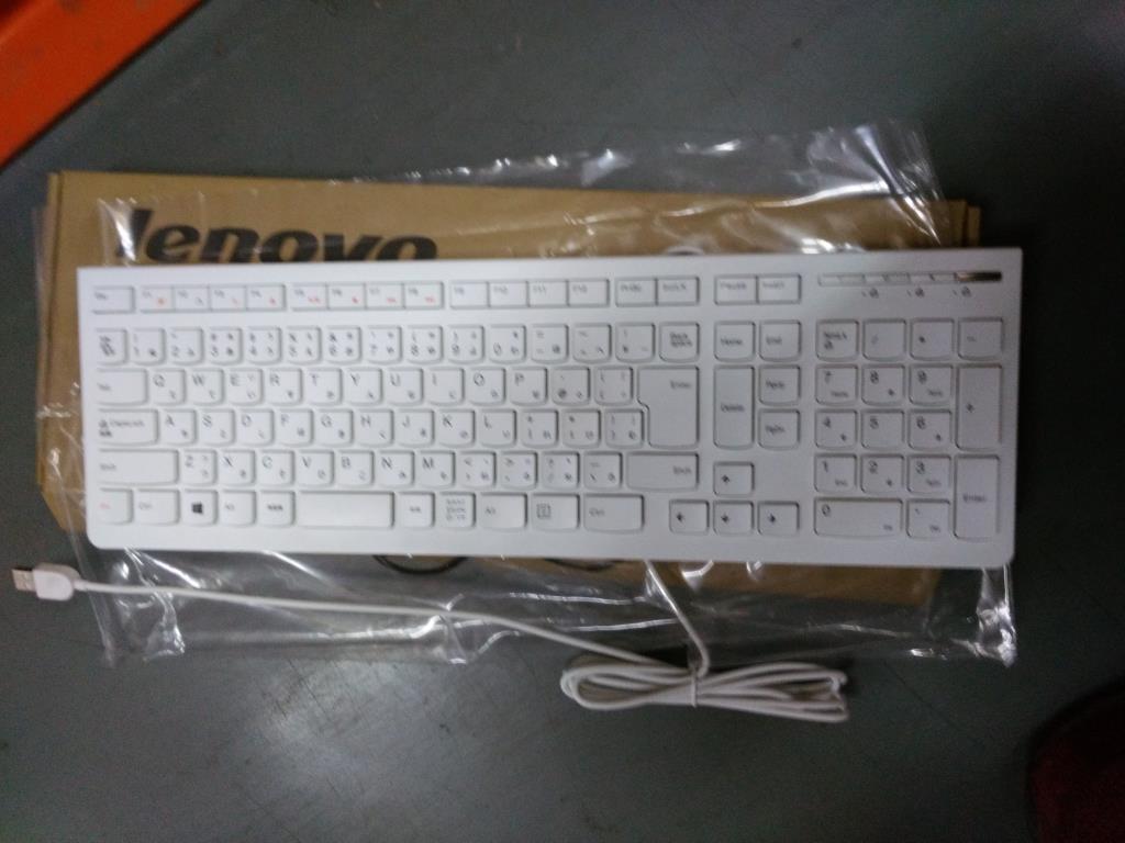 Lenovo Kb Keyboards External - 25209168