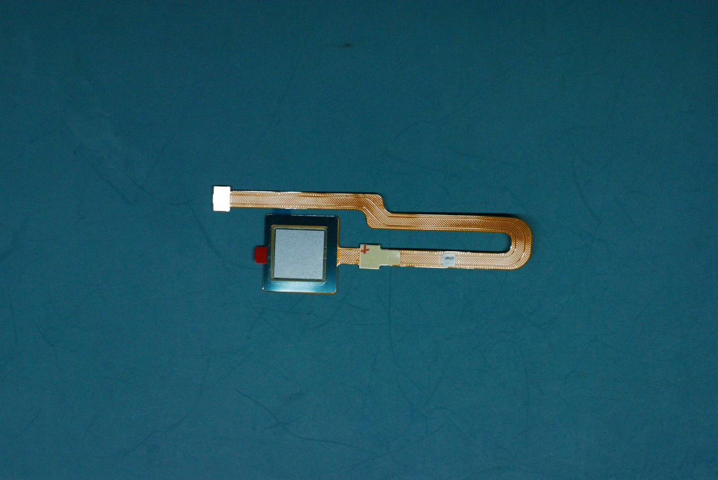 Lenovo Flexible Printed Circuit - SC98C06419